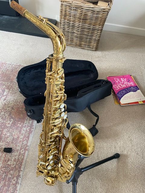 Trevor James 'The Horn' alto saxophone