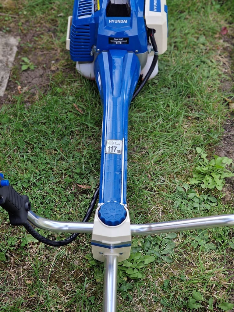 Petrol Strimmer