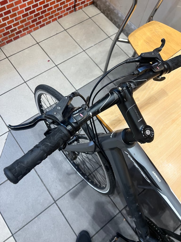 Giant hybrid bike