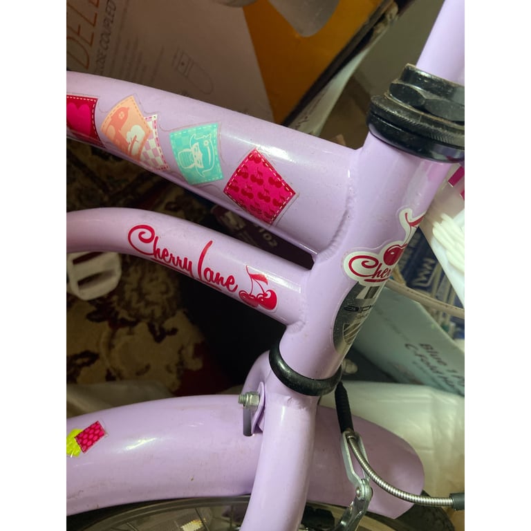 Cherry lane girls bike age 6+