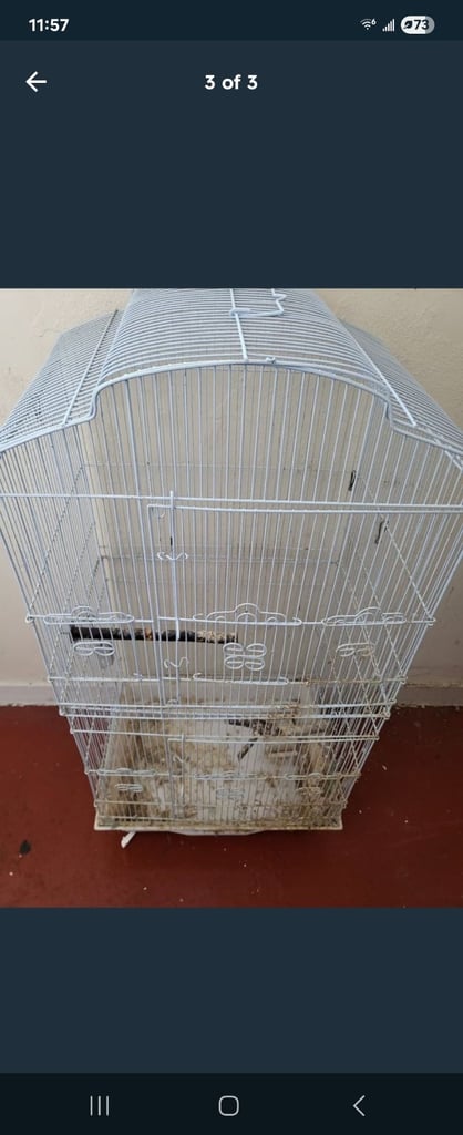 Used birdcage 