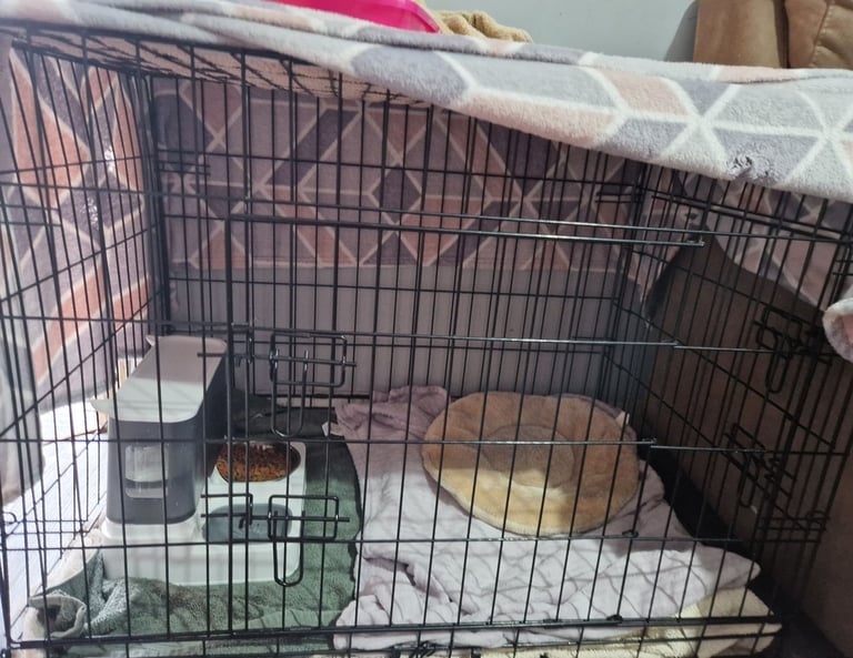 image for 2x Dog crates £10 each 