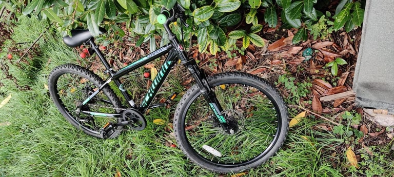 image for Schwinn caveat 24&quot; 8-13 years