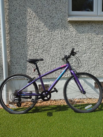 Wheel Ridgeback Dimension 24 Purple Ridgeback Dimension 24 In