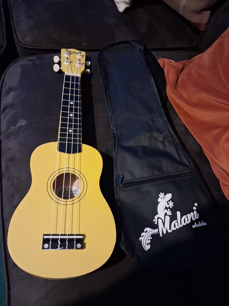 Free kids ukulele vgc