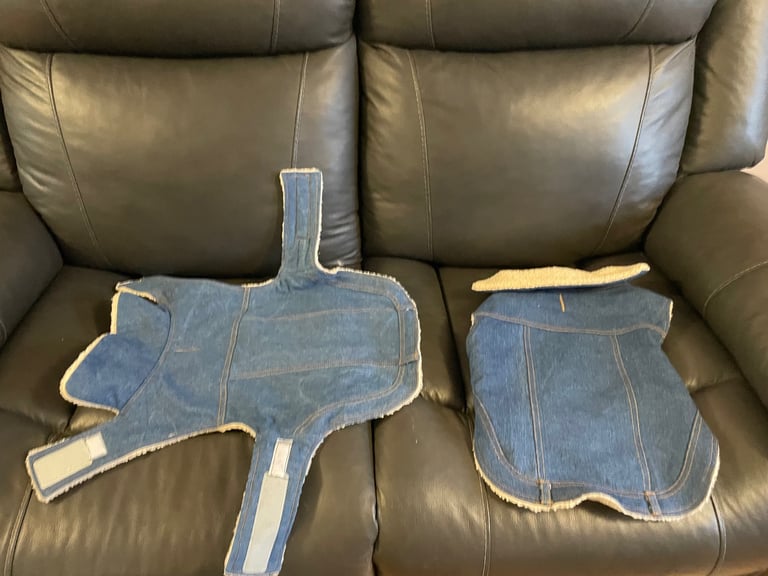 Pets at home dog coats