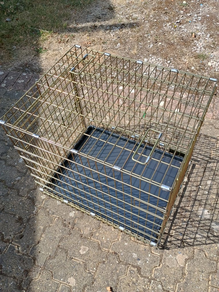 Dog cage 