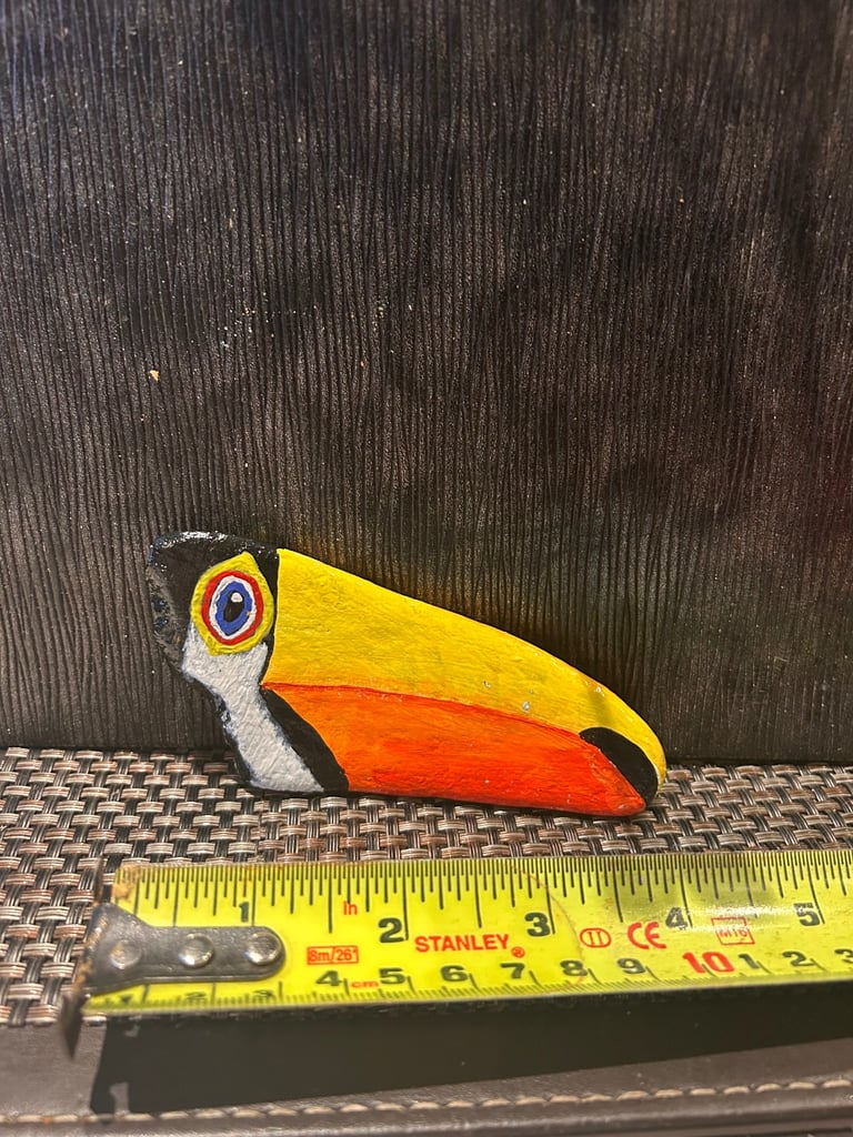 image for Toucan rock 