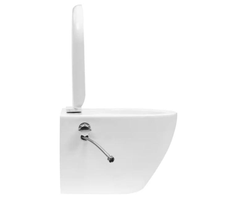 Bidet toilet