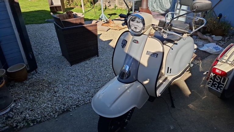 Royal Alloy TG, 2021, 278 (cc)