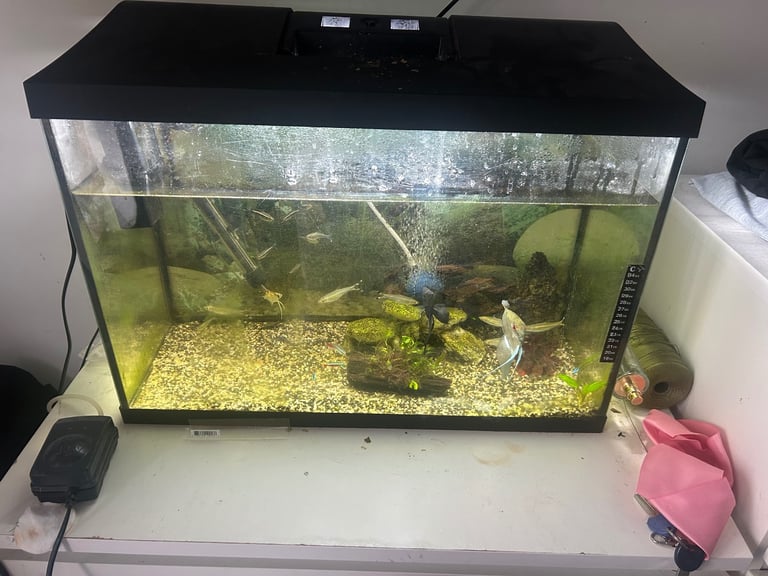 image for Fish tank no fish 