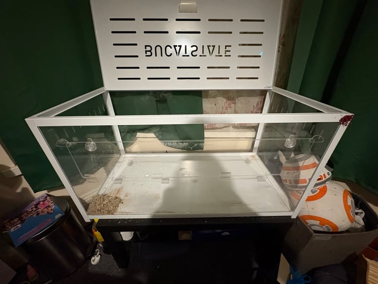 Syrian hamster bundle 