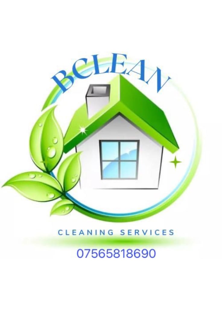 Professional Cleaning 