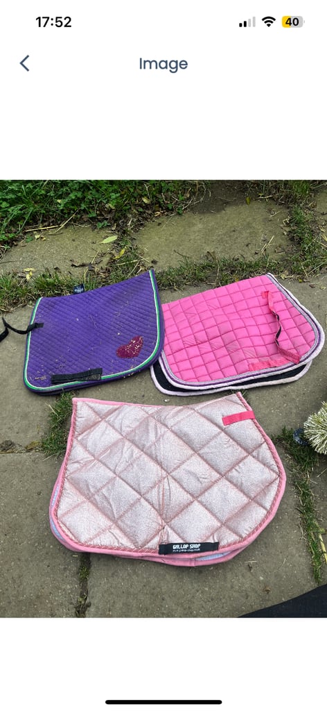 Bundle of pony accessories 