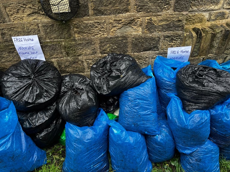 image for Horse Manure 