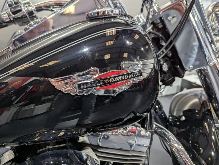 2013 Harley-Davidson Softail 1690 FLSTN Deluxe
