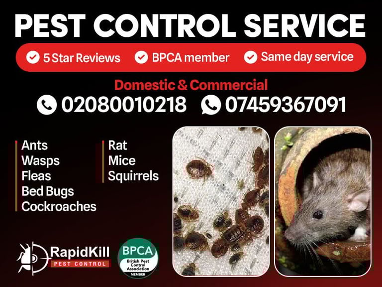 image for Pest Control Mice Rats Bedbugs ants Cockroaches extermination Mouse london urgent pest control