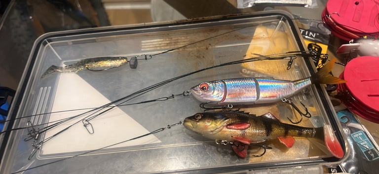 Fishing for Sale in Merseyside Gumtree