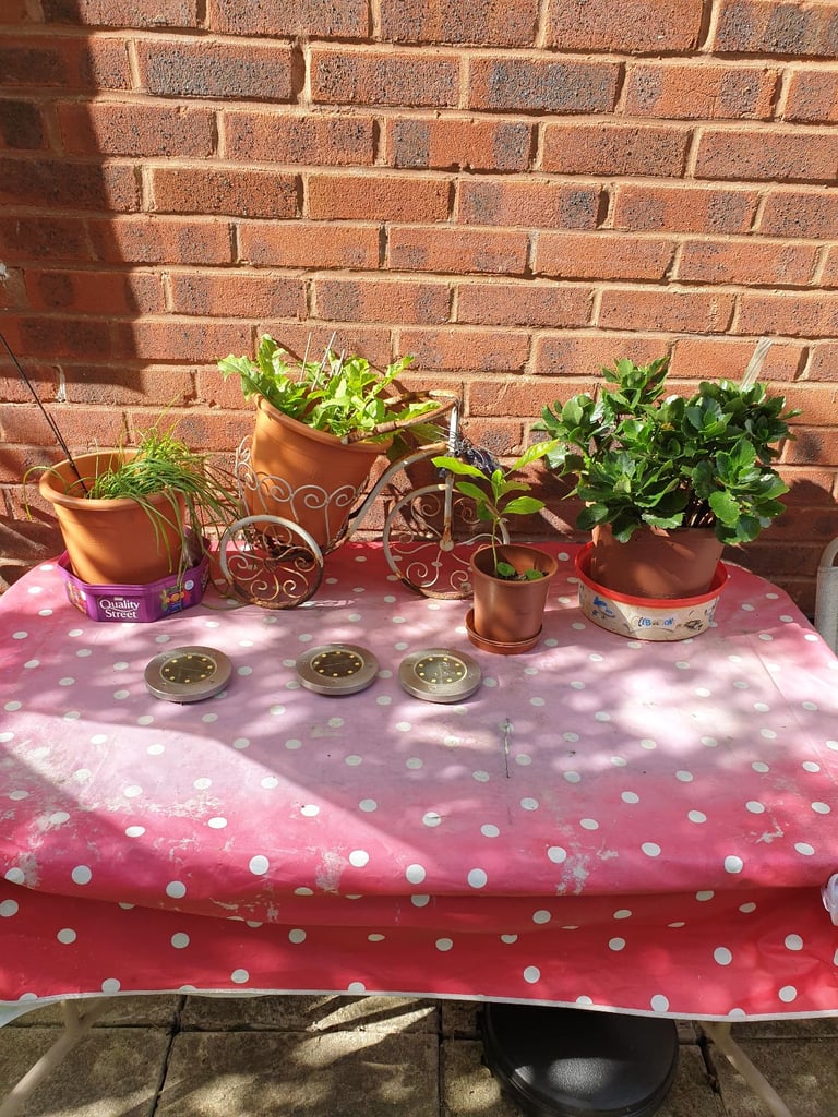 Garden table with chairs