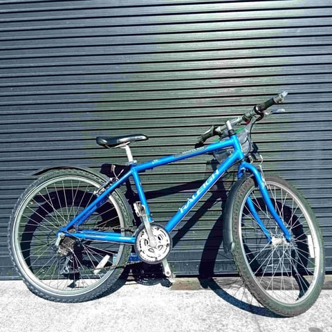 Raleigh Manta Ray 26