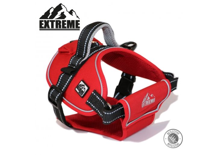 image for Ancol Extreme Dog Harness Medium Red