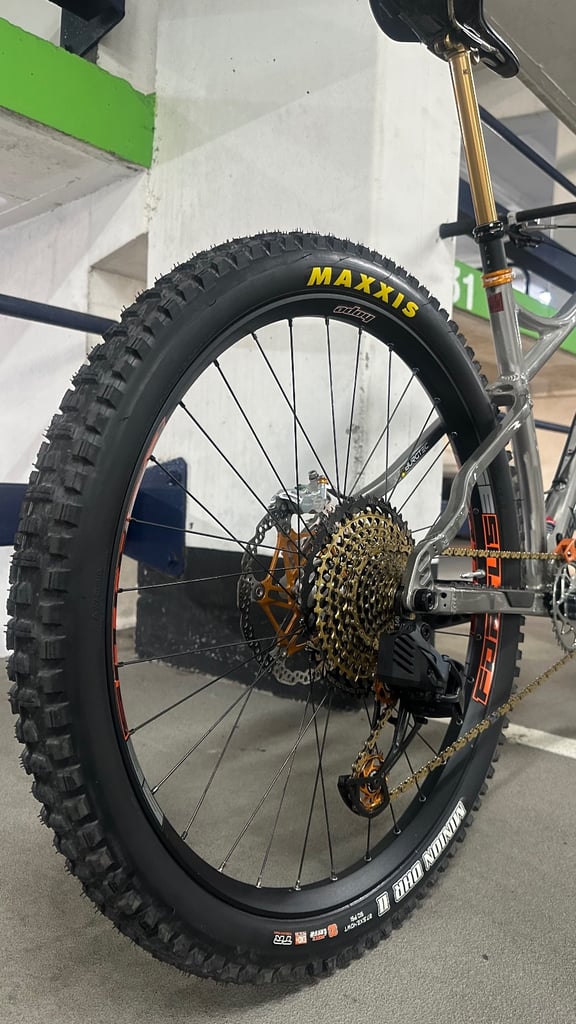 Banshee paradox v3 custom build (large) open to reasonable offers 