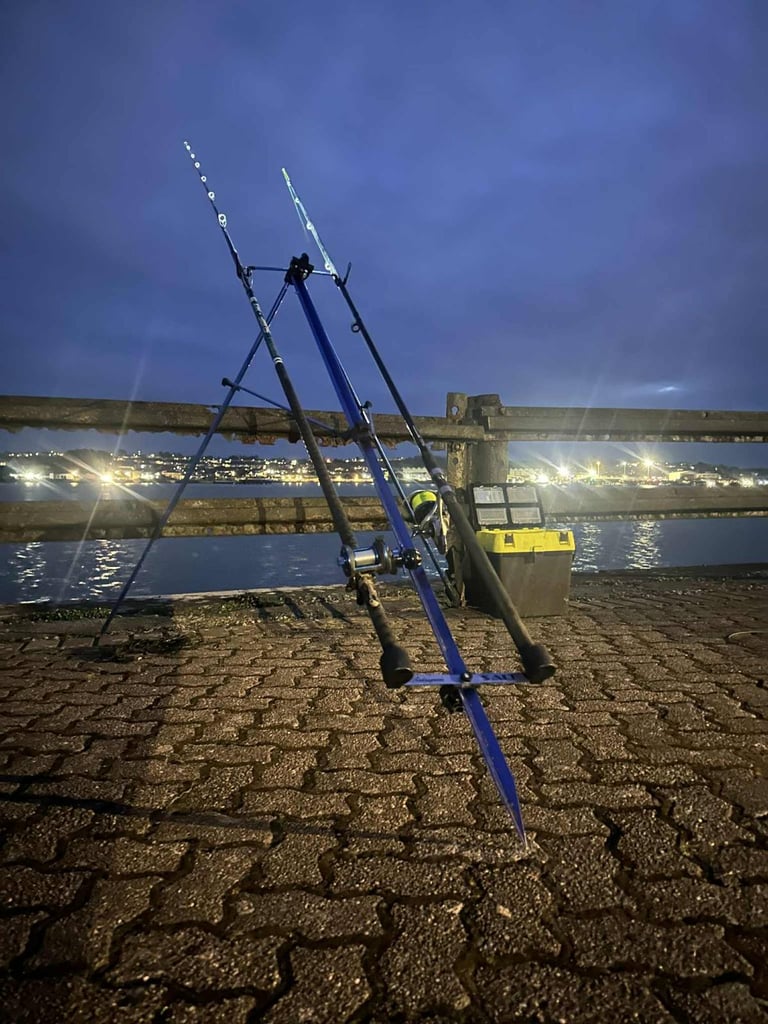 Rovex Tideline Rovex Beach Rods Used Fishing Rods For Sale In