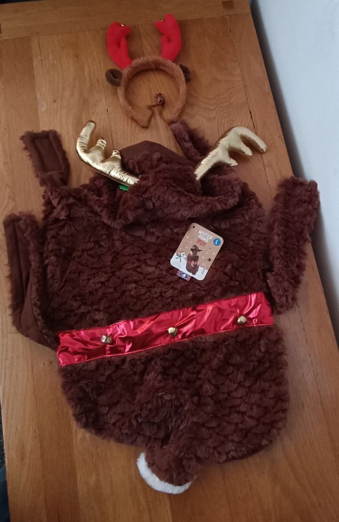 Haloween dog outfits