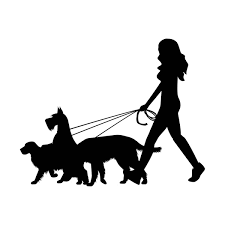image for Dog Walker/Sitter and Cat Sitter Available (Brighton and Hove Area)