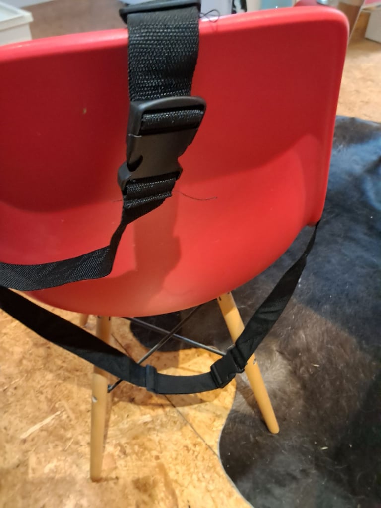 Dog car seat