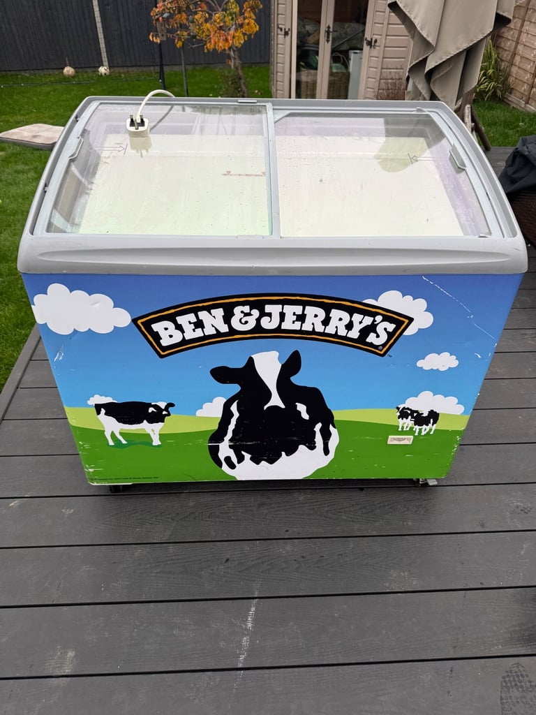 image for Ben & Jerrys freezer