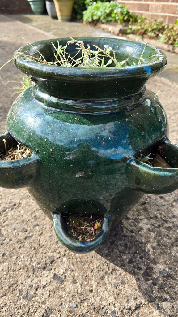 Decorative flower pot 