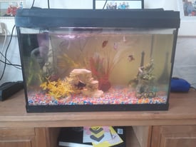 2 ft fish tank with full set up