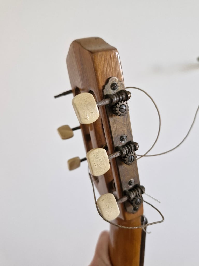 Hofner vienna guitar