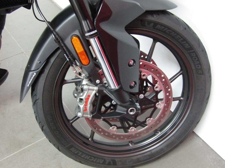 2023 Triumph Tiger 900 GT PRO