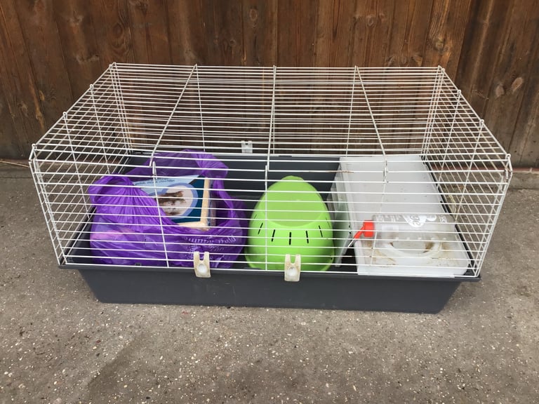 Guinea Pig cage and outdoor run