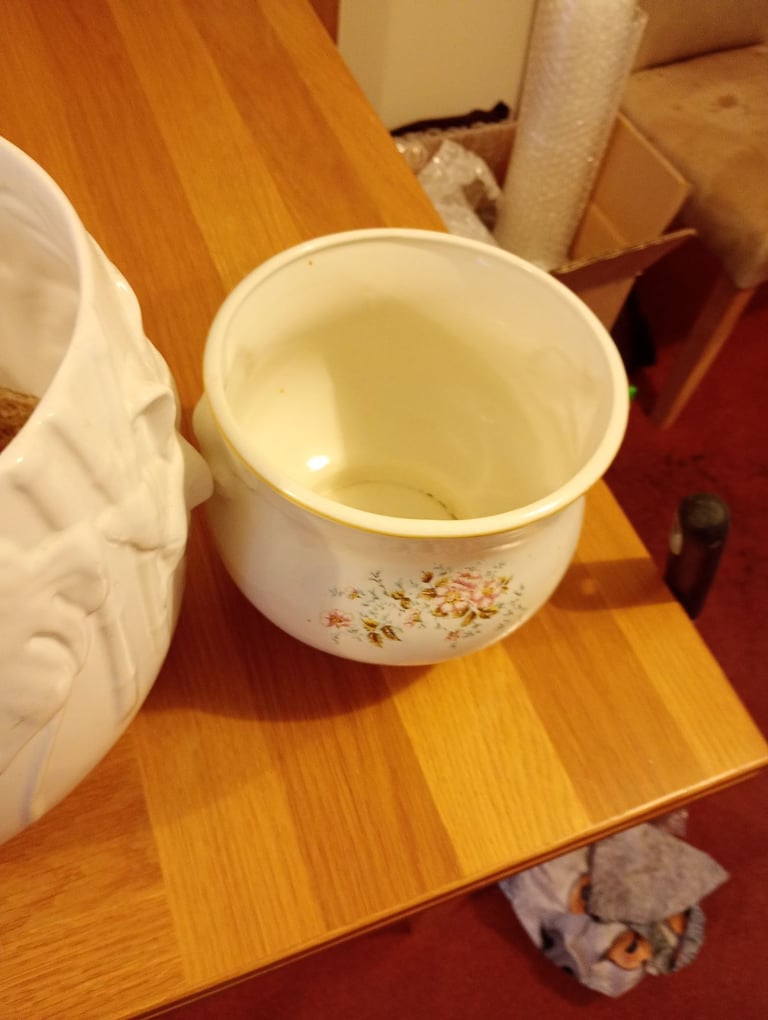 image for Free ....two ceramic plant pots 