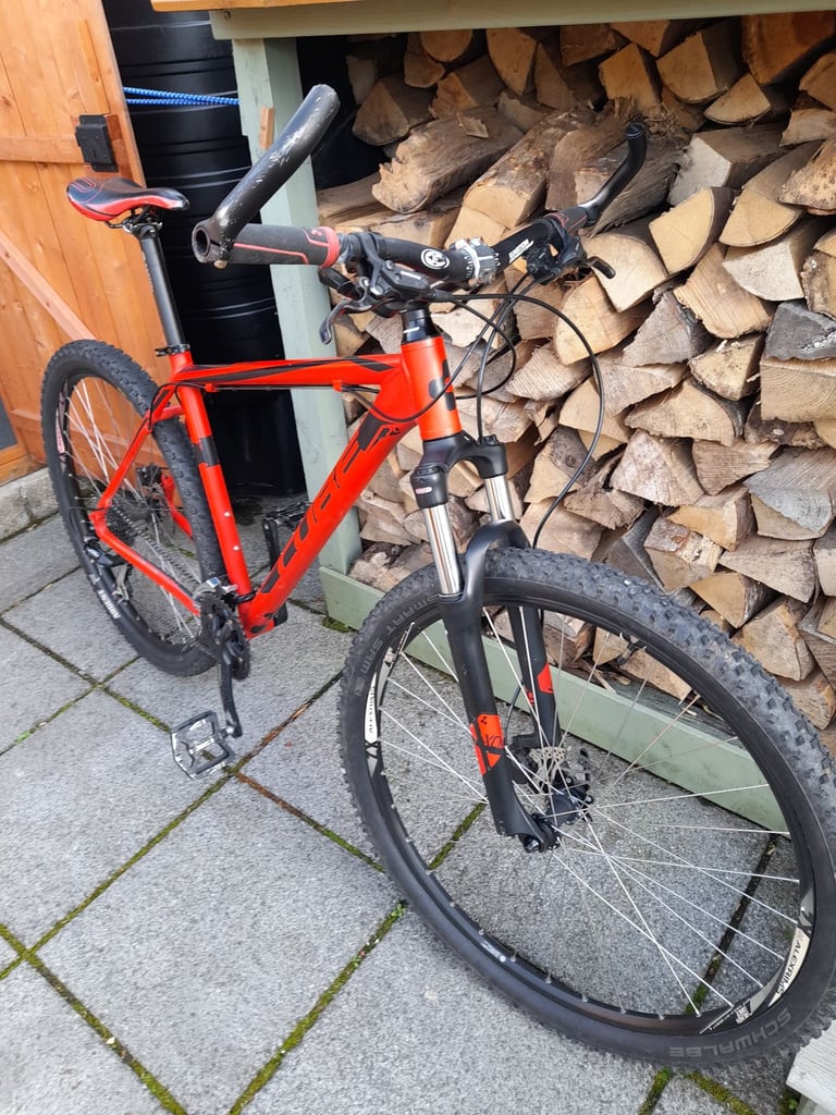 29 MTB