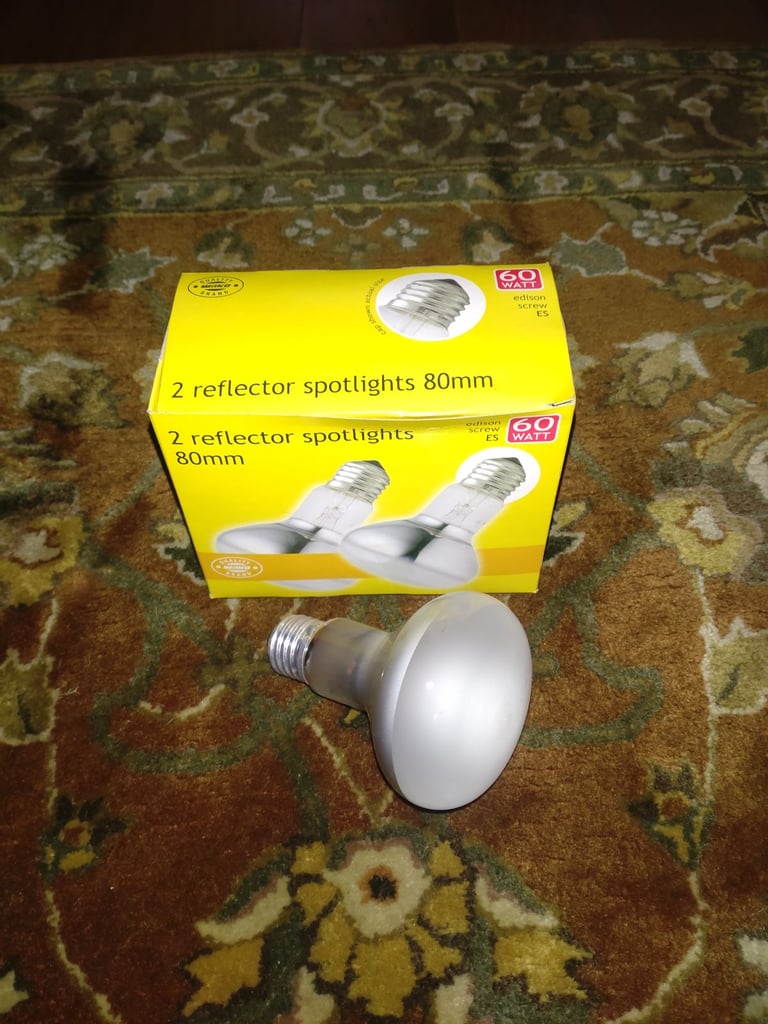 image for Light bulbs