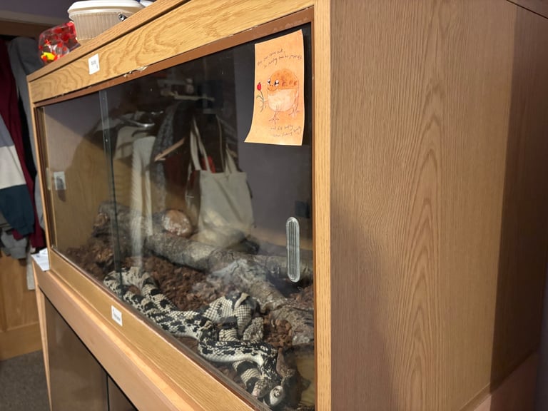 image for 4 ft vivarium 