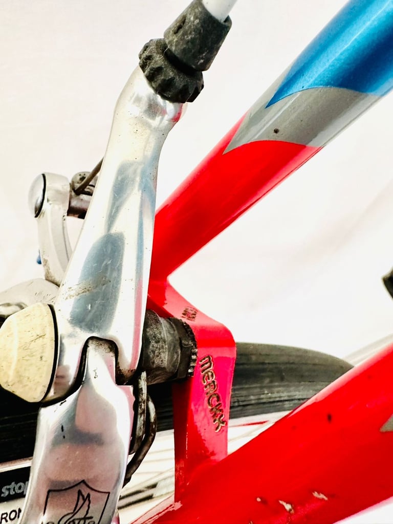 EDDY MERCKX CORSA EXTRA 58 cm Full Campagnolo Road Bike 🚴‍♀️ 