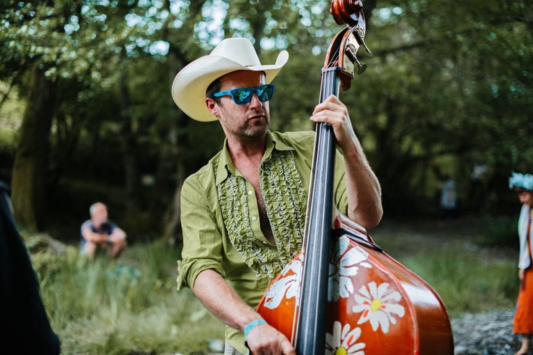 image for Pro double bassist looking for a jazz band for relaxed fun