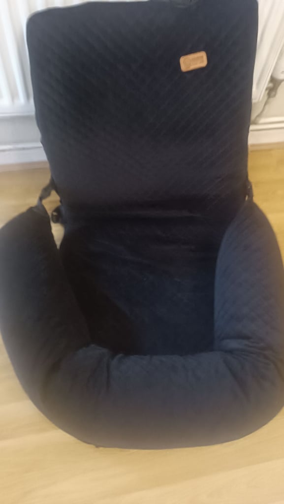 Large luxury car dog bed
