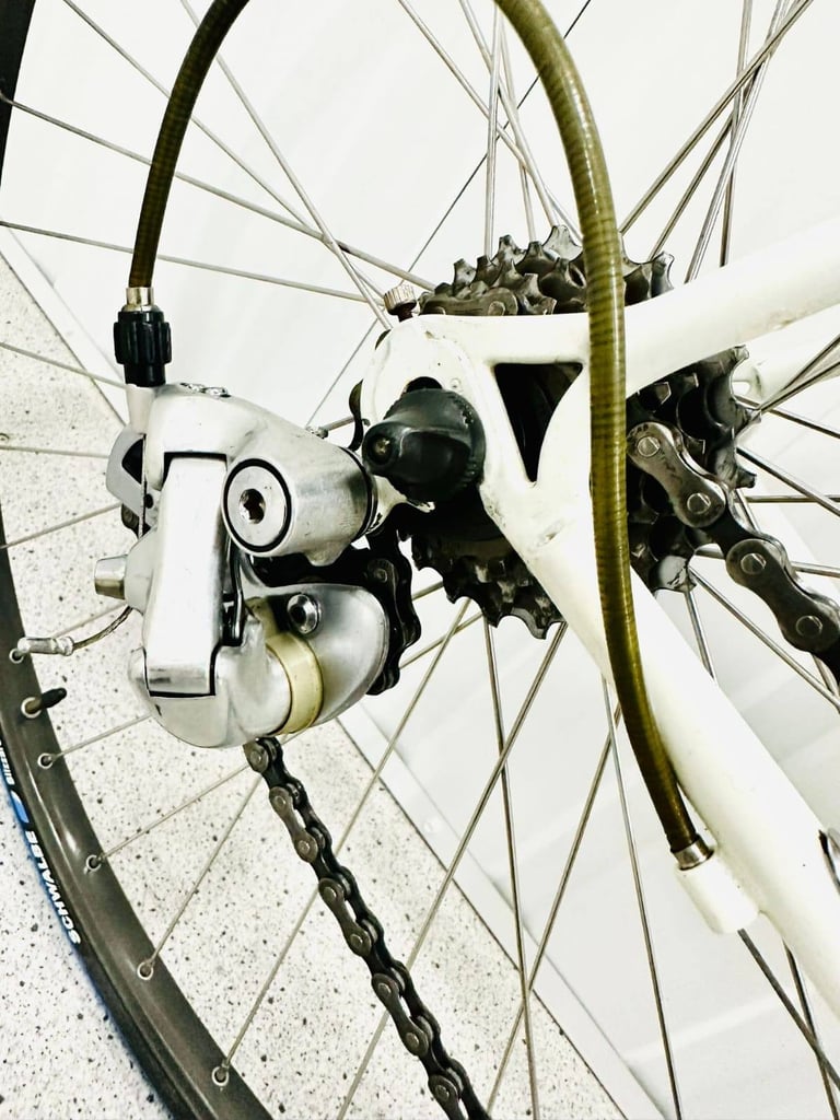 A7  BOTTECHIA Size/L Super LW Road Bike  12 Speed 700c Wheels