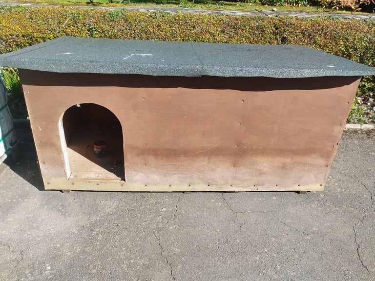 Dog shed