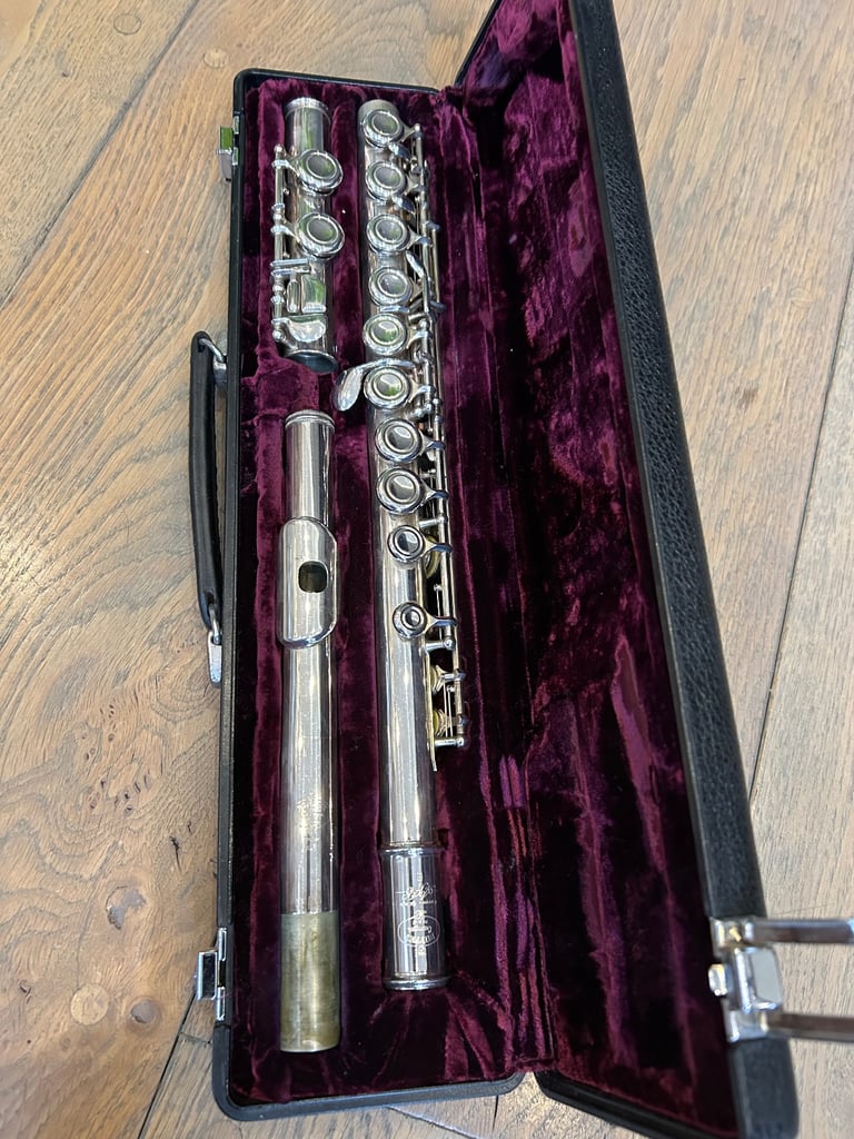 Flute (and hard case)