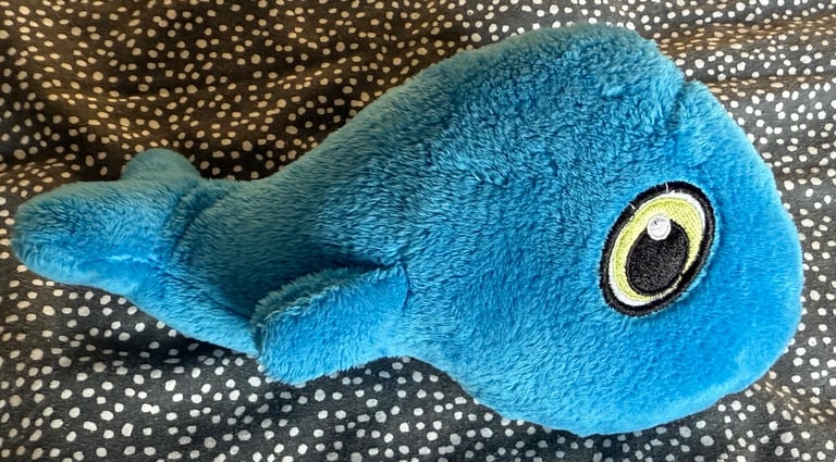 x6 Dog Toys