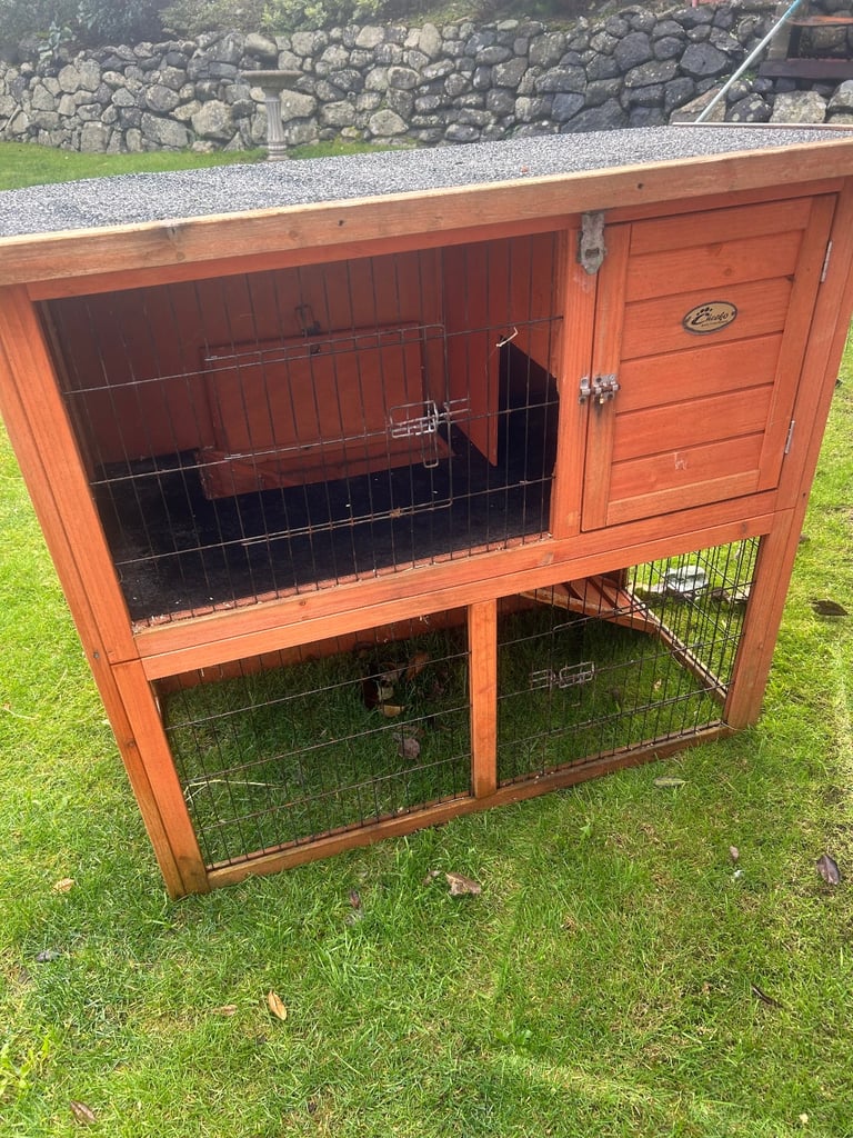Rabbit hutch and run