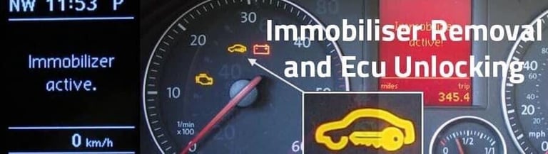 Performance remapping - immobiliser deleting 