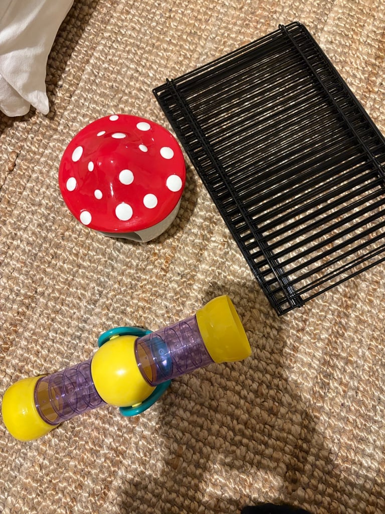 Hamster toys - Niteangel and Pets at Home 